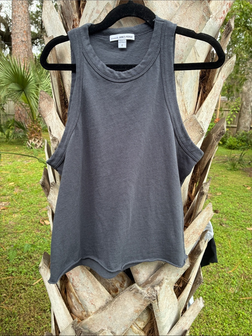 James perse cropped tank